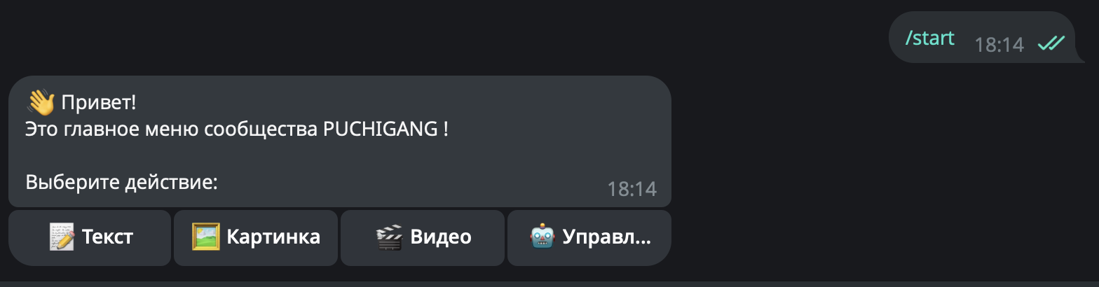 Главное меню Telegram-бота мастера: текст, картинка, видео, управление
